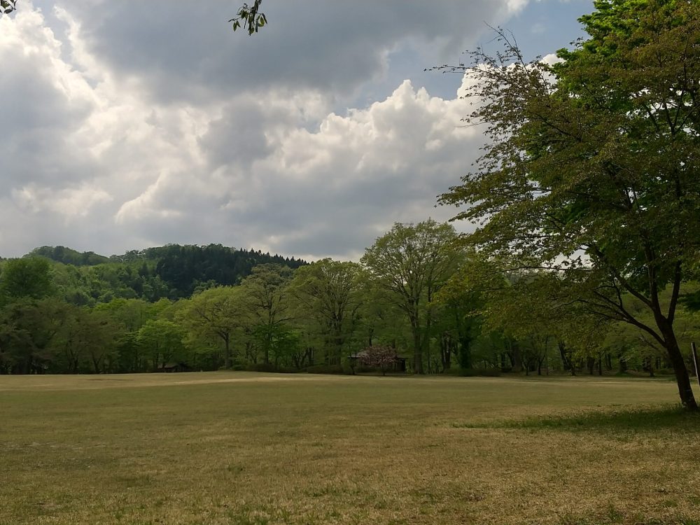 DSC_0001 DSC_0001